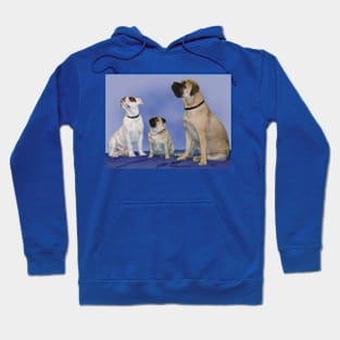 Harry, George & Freda Hoodie